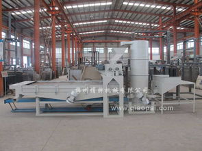 从榛子到杏核 探秘通用脱壳设备的创新与应用